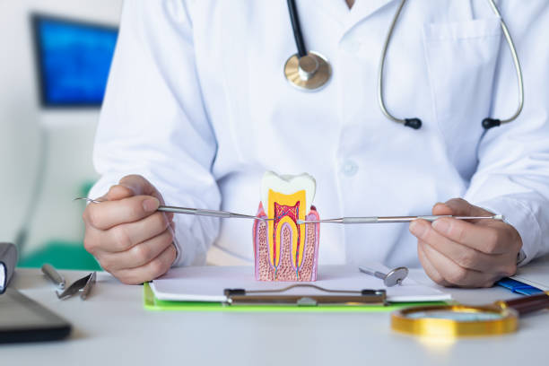 Best Emergency Broken Tooth Repair in Homewood, AL